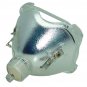 Ask Proxima LAMP-026 Osram Projector Bare Lamp