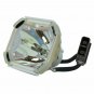 Original Ushio Bare Projector Lamp for Infocus SP-LAMP-LP770