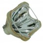 Boxlight CP20TA-930 Philips Projector Bare Lamp