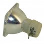 Acer EC.J6100.001 Philips Projector Bare Lamp