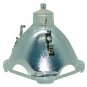 Original Osram Bare Lamp for Epson ELPLP12