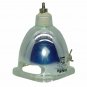 DreamVision LIGHTYLAMP Osram Projector Bare Lamp