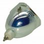 DreamVision LIGHTYLAMP Osram Projector Bare Lamp