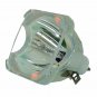 Akai PT-50DL24(X) Philips Bare TV Lamp
