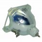 Akai PT-50DL24(X) Philips Bare TV Lamp
