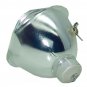 Acer EC.J0201.001 Osram Projector Bare Lamp