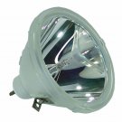 Mitsubishi S-FD10LA Philips Projector Bare Lamp