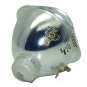 Acer EC.J0301.001 Osram Projector Bare Lamp