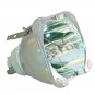 Digital Projection 112-531 Philips Projector Bare Lamp