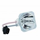 Original Phoenix Bare Projector Lamp for Infocus SP-LAMP-076