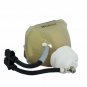Hitachi DT00431 Ushio Projector Bare Lamp