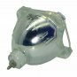 Dominos HD55 Philips Bare TV Lamp