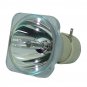 BenQ 5J.J3A05.001 Philips Projector Bare Lamp