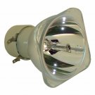 Digital Projection 111-146 Philips Projector Bare Lamp