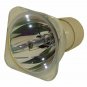 Digital Projection 111-146 Philips Projector Bare Lamp