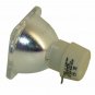 Digital Projection 111-146 Philips Projector Bare Lamp