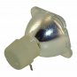 Digital Projection 111-146 Philips Projector Bare Lamp