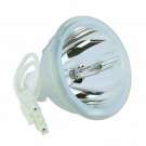 IBM 31P9870 Phoenix Projector Bare Lamp