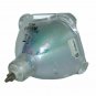 Original Osram Bare Projector Lamp for Infocus SP-LAMP-LP7