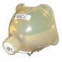 Acer EC.K2700.001 Philips Projector Bare Lamp