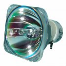 BenQ 5J.JCJ05.001 Philips Projector Bare Lamp