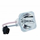 Vivitek 5811100235-S Phoenix Projector Bare Lamp