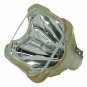 Boxlight CP12TA-930 Philips Projector Bare Lamp