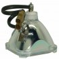 Panasonic TY-LA1000 Philips Bare TV Lamp