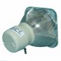 BenQ 5J.JD205.001 Philips Projector Bare Lamp