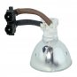 Acer EC.J4301.001 Phoenix Projector Bare Lamp