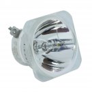 BenQ 5J.08001.001 Ushio Projector Bare Lamp