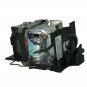 Sony LMP-C162 Compatible Projector Lamp With Housing