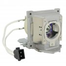 BenQ 5J.J8C05.001 Philips Projector Lamp With Housing