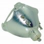 Original Osram Bare Projector Lamp for Infocus SP-LAMP-LP630