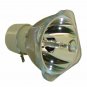 Original Philips Bare Projector Lamp for Infocus SP-LAMP-047