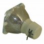 Original Philips Bare Projector Lamp for Infocus SP-LAMP-047