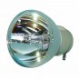 BenQ 5J.JD305.001 Osram Projector Bare Lamp