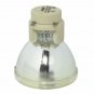BenQ 5J.JD305.001 Osram Projector Bare Lamp