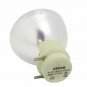 BenQ 5J.JD305.001 Osram Projector Bare Lamp