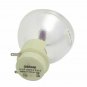 BenQ 5J.JD305.001 Osram Projector Bare Lamp