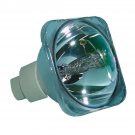 Acer EC.J5200.001 Osram Projector Bare Lamp