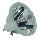 Original Philips Bare Lamp For Epson ELPLP02