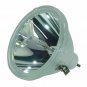 Original Philips Bare Lamp For Epson ELPLP02