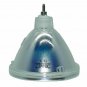 Original Philips Bare Lamp For Epson ELPLP02