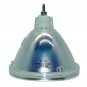 Barco R9842020 Philips Projector Bare Lamp