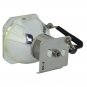 Sharp AN-XR20L2 Phoenix Projector Bare Lamp