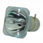 Original Philips Bare Projector Lamp for Infocus SP-LAMP-039