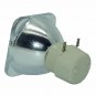 Original Philips Bare Projector Lamp for Infocus SP-LAMP-050