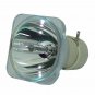 Boxlight X28NST Philips Projector Bare Lamp
