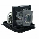 Dynamic Lamps Projector Lamp With Housing for Infocus SP-LAMP-056